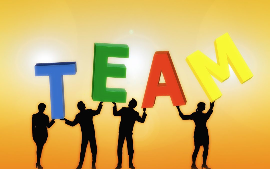 Team Building: Expectation vs Reality